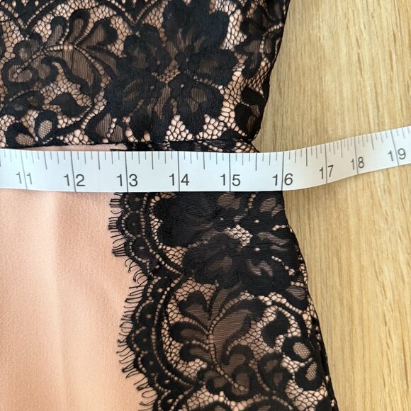 β¨ The Limited Blush Pink Sheath Dress with Black Lace β¨ - Picture 4 of 5